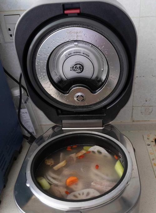 电饭煲皮圈损坏的维修方法（快速解决电饭煲皮圈问题的有效方法）