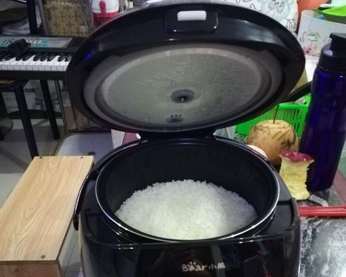 小熊电饭煲盖子损坏，如何解决（快速修复）