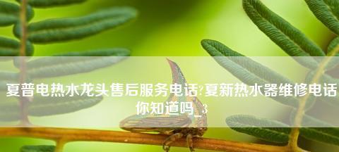 如何解决夏普热水器加热过程太慢的问题（优化热水器性能）