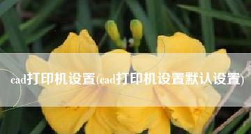 如何提高工作效率——利用两台相同打印机的设置（解决多任务打印需求）