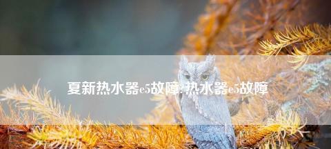 夏普热水器E2故障处理指南（解决夏普热水器E2故障的实用方法和建议）