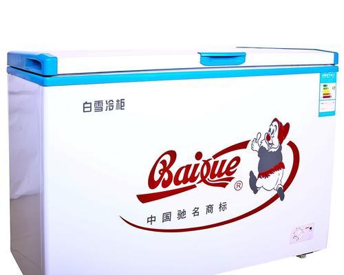 白雪冰柜漏水的原因及解决方法（了解白雪冰柜漏水的原因）
