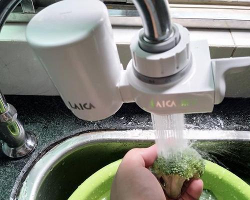 净水器水龙头出绿苔怎么办（探索净水器水龙头出绿苔的原因及有效清除办法）