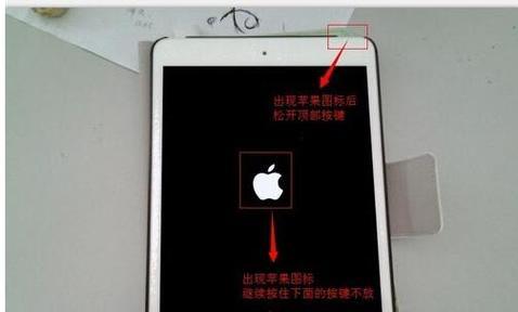 如何应对iPad电脑停用问题（解决iPad电脑停用的有效方法和技巧）