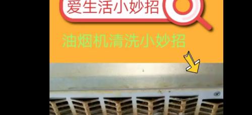 如何彻底清洗油烟机缝隙（掌握关键技巧）
