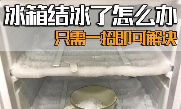 如何有效解决冰箱结霜和噪音问题（-雨后清理）