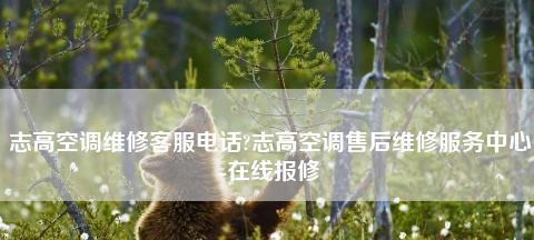 志高空调E5故障原因及解决方法（探究志高空调E5故障原因）