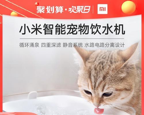 宠物饮水机过滤改造方法（让你的宠物喝上更干净健康的水）