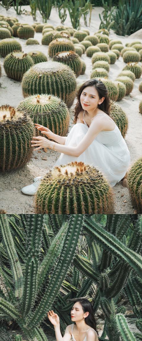 蛋仔拍照仙人掌用手机怎么拍？有哪些拍摄技巧？