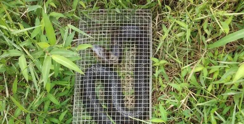 模拟器关闭滑铲操作方法是什么？如何防止误操作？