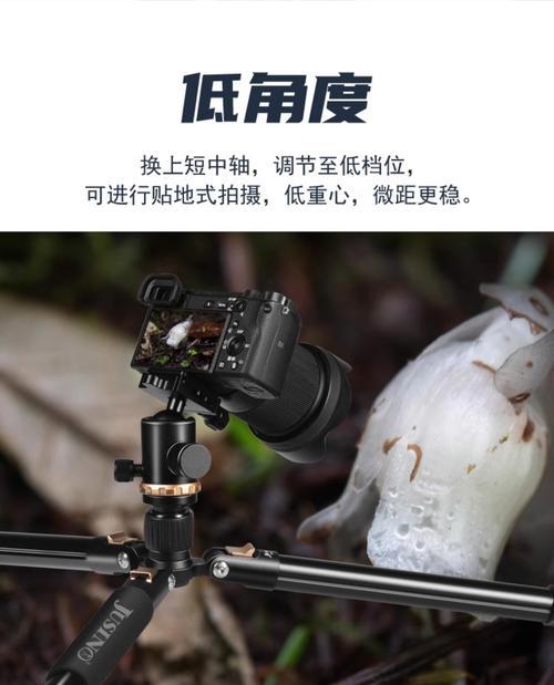 手机支架三脚架自拍架怎么用？如何正确使用？