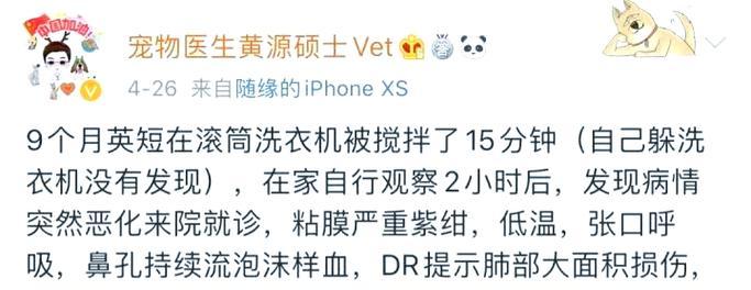 猫误入洗衣机会发生什么？如何预防这种情况？
