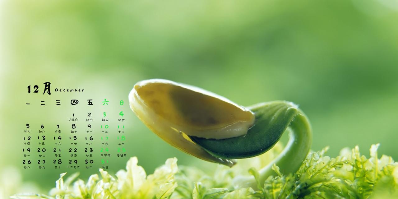 笔记本电脑锁屏壁纸如何修改？有哪些步骤？