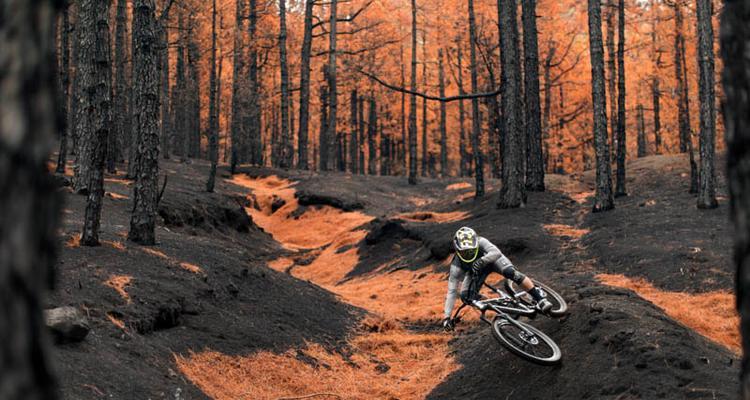 红牛运动员选用的相机品牌？为何该相机适合运动拍摄？