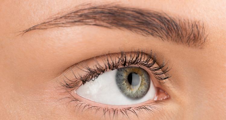 拍摄眼睛特写照片的技巧是什么？需要使用什么设备？