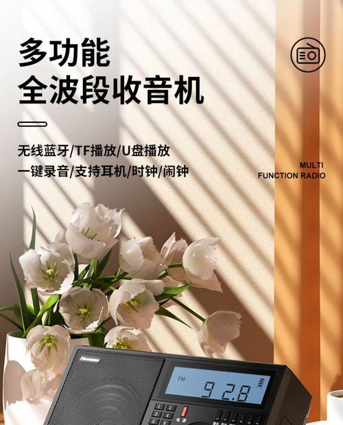 纽曼音响bt73的性能如何?使用体验有哪些特点?