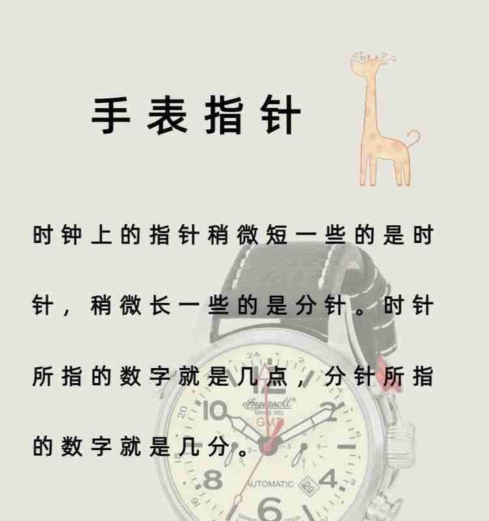 手表时标怎么选择？选择标准和注意事项是什么？
