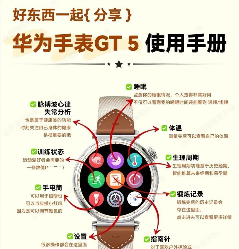 手表账号信息如何查看？查看账号信息的步骤是什么？
